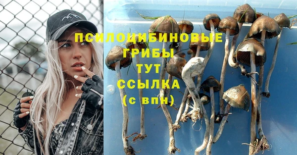 спиды Алексин
