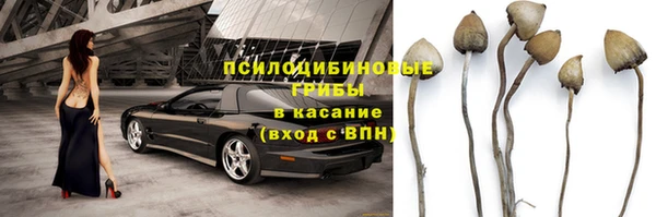 спиды Алексин