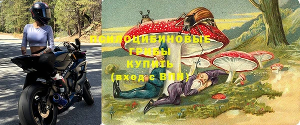 спиды Алексин